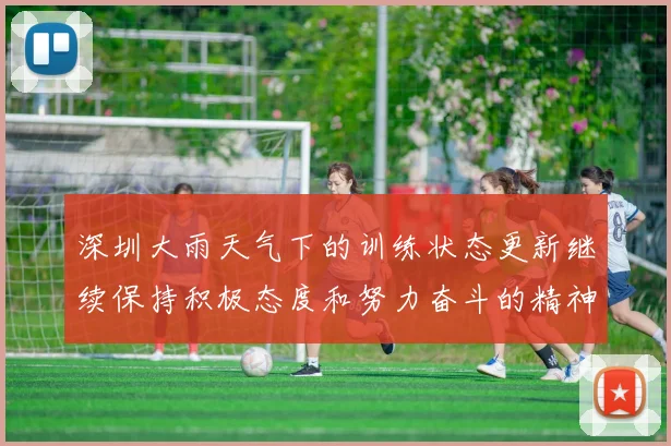 深圳大雨天气下的训练状态更新继续保持积极态度和努力奋斗的精神
